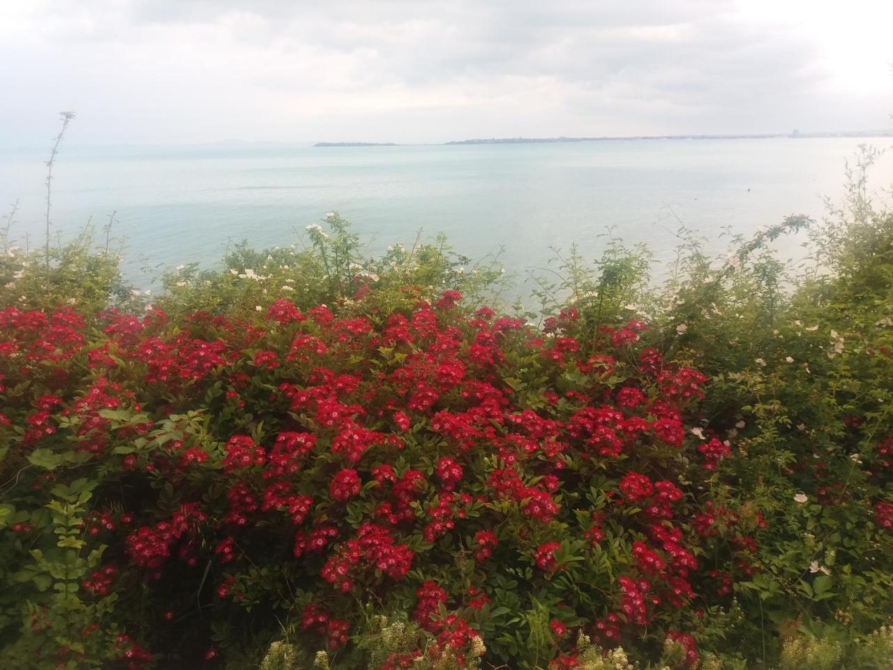 Hotel Sea Vista Sveti Vlas Dış mekan fotoğraf